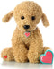 My Baby's Heartbeat Bear - Recordable Stuffed Animal with 20 sec Heart Voice Recorder for Ultrasounds