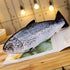 JULAN 3D Giant Soft Fish Cushion Pillow - 31 Inch Salmon Plush Toy for Home Decoration Gift