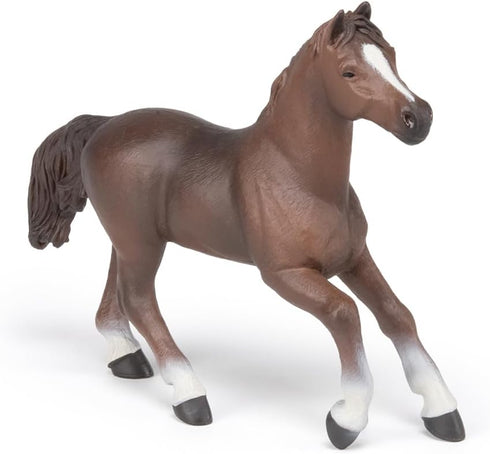 Papo Hand-Painted Figurine - Horses, Foals and Ponies - Anglo-Arab Mare Figure 51075 - Collectible for Children