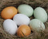 Eggs-6 Masterproofing Wooden Fake Eggs, Easter Pieces (White)