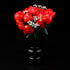 Kyglaring LED Light Kit for Lego Icons Roses Bouquet 2024 Building Set, Lighting Kit Designed for Lego 10328 Botanical