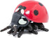Papo Hand-Painted Ladybug Figurine - Wild Animal Kingdom 50257 - Collectible for Boys and Girls, Ages 3+