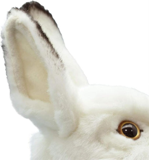Rabbit Plush Animal Toy, 13", White - Hansa