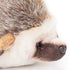 DEMDACO Huddled Small Hedgehog - Wispy Chestnut Children's Plush Stuffed Animal