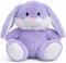 HollyHOME Easter Bunny Stuffed Animal Stuffed Bunny Plush Soft and Cuddly Stuffed