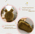 JOSON 11 Inch Snail Plush Toy Dolls, Soft Stuffed Animals for Boys and Girls Birthday
