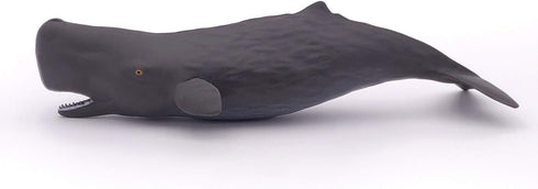 Papo Hand-Painted Figurine - Marine Life Sperm Whale Calf - 56045, Collectible for Children, Suitable for Boys and