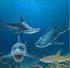 Gemini & Genius Great White Shark Hammerhead Shark Toy Set - 10 Inches Ocean Model Educational Figures