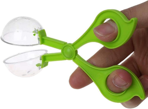 Green Catcher Plastic Outdoor Clamp with Tweezer for Insect Bug Scissors, Gifts for Sports and Outdoor Play