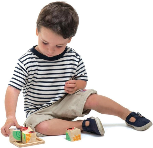 Tender Leaf Toys Baby Blocks - 5 Pieces My First Wooden Jigsaw Puzzle with Storage Tray for Toddlers 18M+