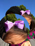 CÉLLOT 40 Pieces 4.5 Inch Hair Bows for Girls - Clips Grosgrain Ribbon Boutique Hair Bow Alligator Clips for Girls