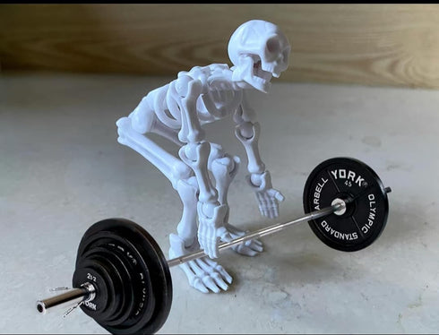QWZFirst T13 5.12-in Sets (1pcs) Skeleton Action Figure, Movable Articulated Human Skeleton, Action Figure Wearing