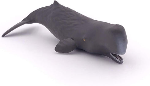 Papo Hand-Painted Figurine - Marine Life Sperm Whale Calf - 56045, Collectible for Children, Suitable for Boys and