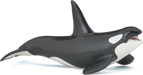 Papo Hand-Painted Figurine - Marine Life Killer Whale Figure 56000 - Collectible for Boys and Girls - Ages 3+
