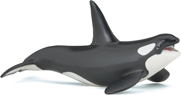 Papo Hand-Painted Figurine - Marine Life Killer Whale Figure 56000 - Collectible for Boys and Girls - Ages 3+