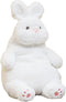 ARELUX 22in Large Bunny Plush Stuffed Animal Hugging Pillow - Soft Giant Fluffy Pillow for Friends Dormitory