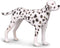CollectA Dalmatian Figure - Realistic Toy