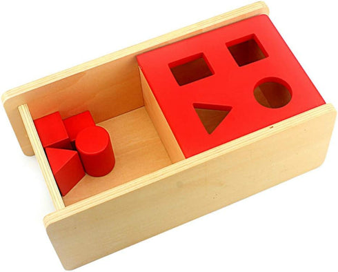 DANNI Montessori Baby Imbucare Box with Flip Lid, 4 Shapes Wood Learning Educational Toy for Children