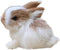 Mini Simulation Rabbits, Lifelike Cute Plush Rabbits, Miniatures Cute Stuffed Animal Figurines, Home Party Decors, Model Gift, Miniatures Decorations, Home Decoration