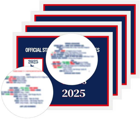 LPPROTECTOR Mahjong Cards 2025, 4pcs Official Revision- Large Print, Easy-to-Read - American Mah