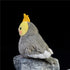 Nohito Realistic Grey Cockatiel Parrot Plush Toy, Simulation Fake Bird Cockatoo Stuffed Animal 4.9'' (Grey, M)
