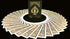 Bicycle Rider Back MetalLuxe Playing Cards, Gold Foil Edition