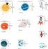 Space Planet Wall Decals - Cute Educational Wall Stickers for Kids, Daycare, Nursery, Playroom, Classroom, School