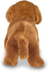 Bearington Frankie - 13 Inch Dachshund Stuffed Animal