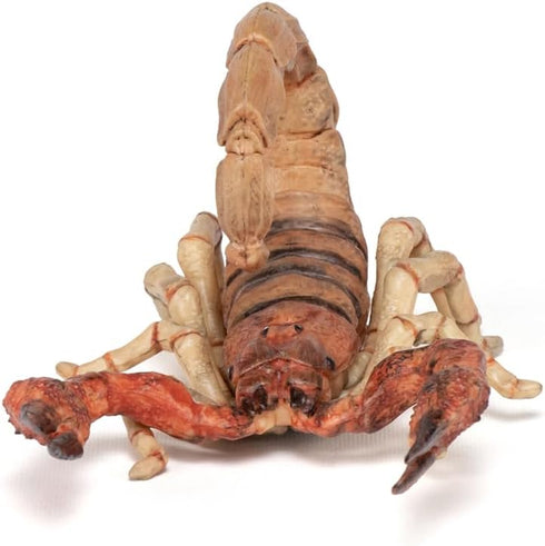 Papo Scorpion Figurine, Desert Animal Toy for Kids Age 3+, 11 cm, Hand-Painted Wildlife