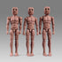 SOUFORCE 1/12 6in NT-02W Scale Wide Shoulder Male Action Figure Flexible Notaman Square Head Male Figure Body Doll