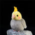 Nohito Realistic Grey Cockatiel Parrot Plush Toy, Simulation Fake Bird Cockatoo Stuffed Animal 4.9'' (Grey, M)