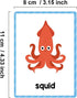 Animals Learning Flashcards, High Frequency Words, Beginning Reading, Kindergarten to 1st Grade, ESL Teaching Materials, Autism Learning Materials, Vocabulary Building, 25 Cards, 48 Words