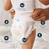 Generic 2T-3T, 72 Count Millie Moon Training Pants, Size Unisex