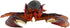NOVELTY GIANT WWW.NOVELTYGIANT.COM 9.5" Realistic Looking Maine Lobster Plastic Food Party Decor Gag Gift