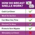 Mommyz (4 Pack) Love Breast Shells & Milk Catcher for Breastfeeding No Plugs - Breast Milk Catcher to Relieve & Protect