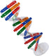 Toddmomy Kids Toys 2 Sets DNA Model Kit for Teaching Students, Double Mannequin