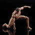 1/12 Figure,6inch Fremego Scale Action Male Strong Muscular Flexible Miniature Action Figure Body Doll Collection