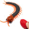 Tipmant Realistic Large Size RC Centipede Scolopendra Animal Toy Infrared Remote Control
