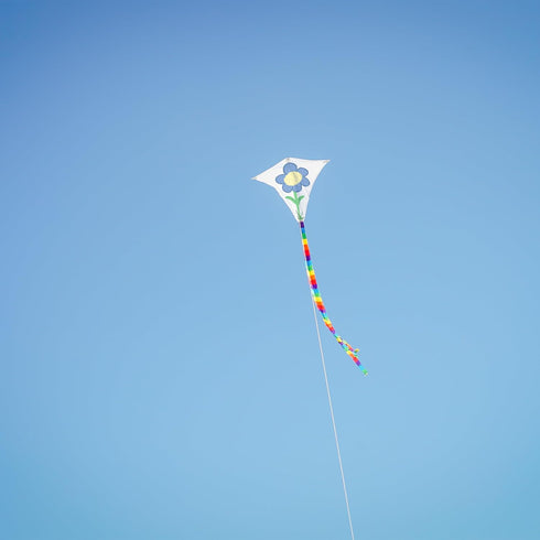 In the Breeze Coloring Diamond 20 Inch Kite, Single Line, Ripstop Fabric, Includes Crayons, Kite Line & Bag