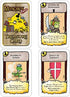 Munchkin Panic Game, Multi-Colored
