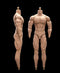 1/6 Scale Male Body - 12inch Male Soldier Flexible Strong Muscular High Action Figure Body Collection (23-BD003)