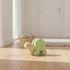 12m+ Pearhead Wooden Turtle Push and Pull Toy, Montessori Shake and Rattle Shell, Baby Walking and Gross Motor