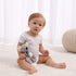 Apricot Lamb Stuffed Animals Security Blanket, Gray Koala Infant Nursery Character Blanket, Luxury Snuggler Plush (Gray