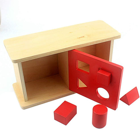 DANNI Montessori Baby Imbucare Box with Flip Lid, 4 Shapes Wood Learning Educational Toy for Children