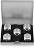 DS.DISTINCTIVE STYLE Aluminum Alloy Dice, 5 Pieces 16mm Portable Metal Dices with Case, 6 Sided for Party Game