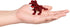 nanoblock - Dinosaurs - Complete Set of 6 Dinosaur Assortment, mininano Series Building Kit