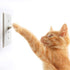 Light Switch Guard, ILIVABLE Optional Wall Plate Cover Protects Your Lights or Circuits from Being Accidentally Turned