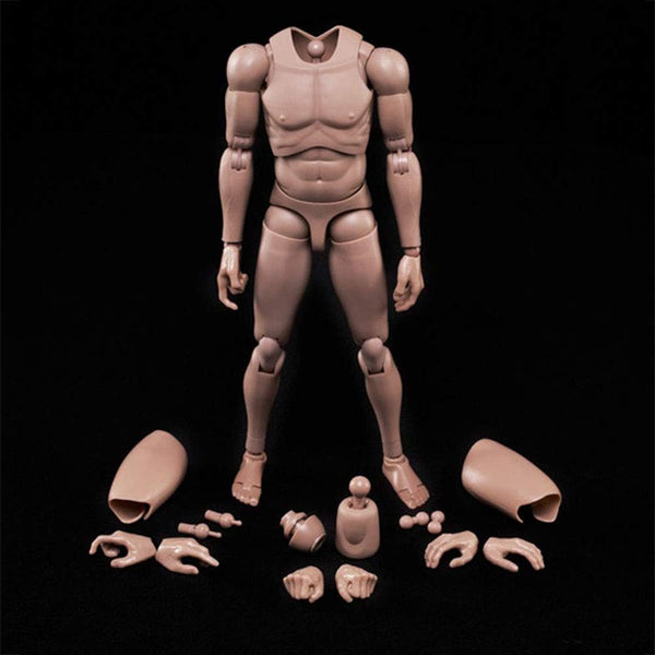 1:6 Scale Muscle Male Action Figure - 12 Inch Flexible Europe Skin Body Doll Miniature Figure Without Head Sculpt