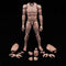 1:6 Scale Muscle Male Action Figure - 12 Inch Flexible Europe Skin Body Doll Miniature Figure Without Head Sculpt