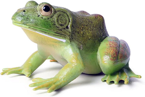 Simulated Tree Frog Model Figure Toy - Realistic Bullfrog Figurines Collection for Educational Props